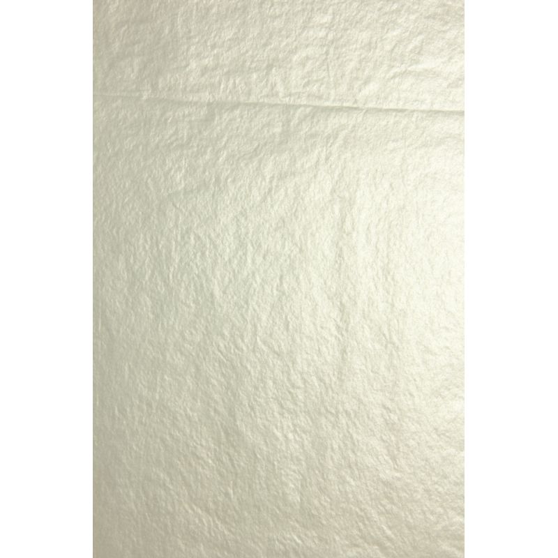 Clairefontaine - 8 feuilles de papier de soie - 50 x 75 cm - or